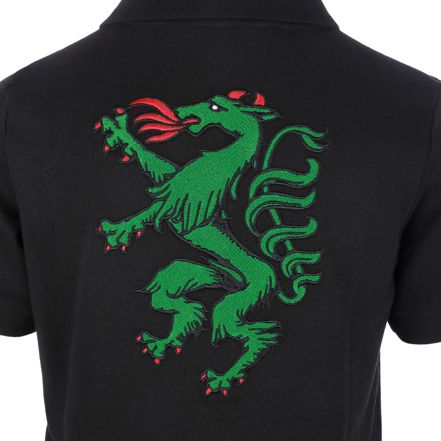 Outlet Kinder Poloshirt "Steiermark", Kinder Shirts & Polos